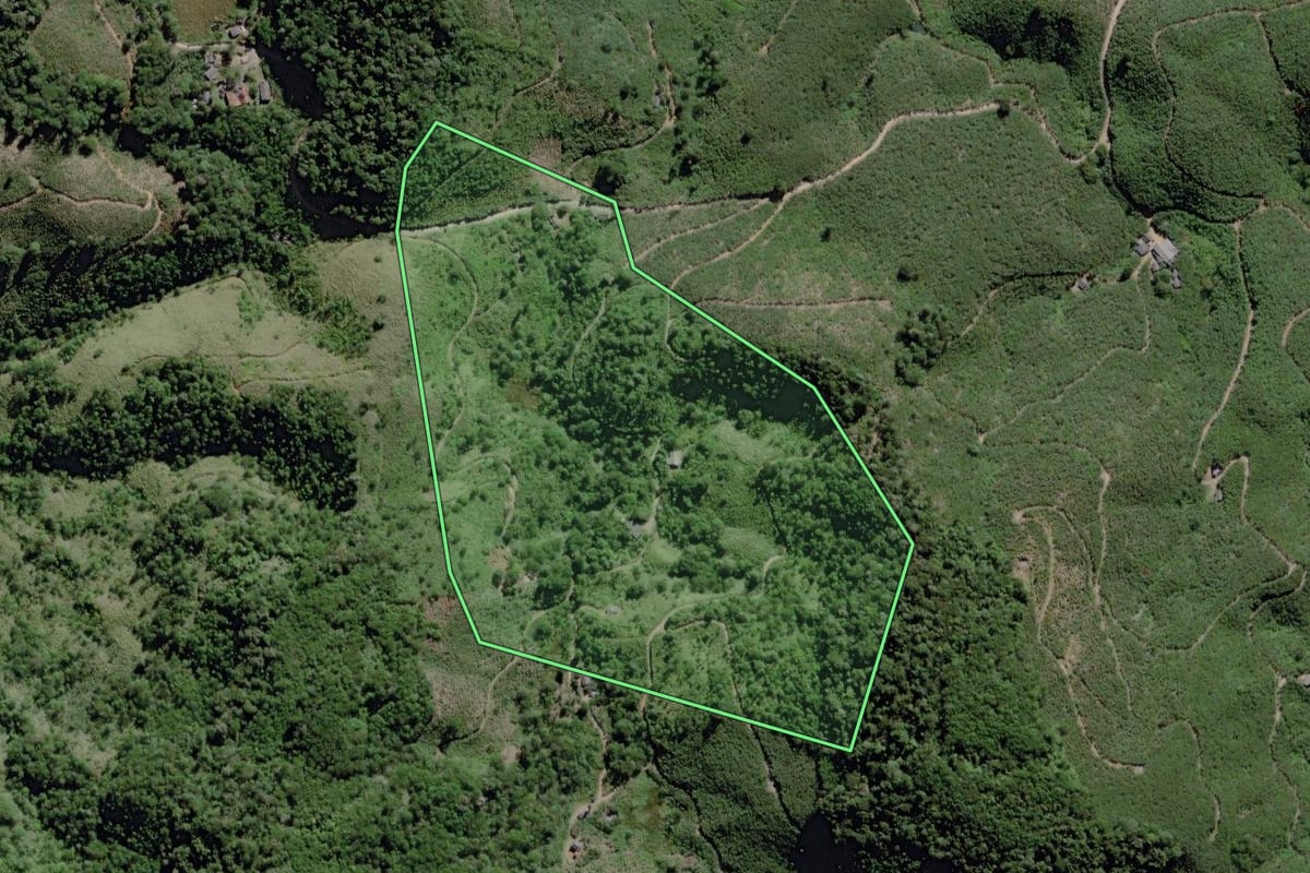 Imagem de satélite do imóvel rural em Miracatu (SP), com o contorno declarado no CAR desenhado por cima.