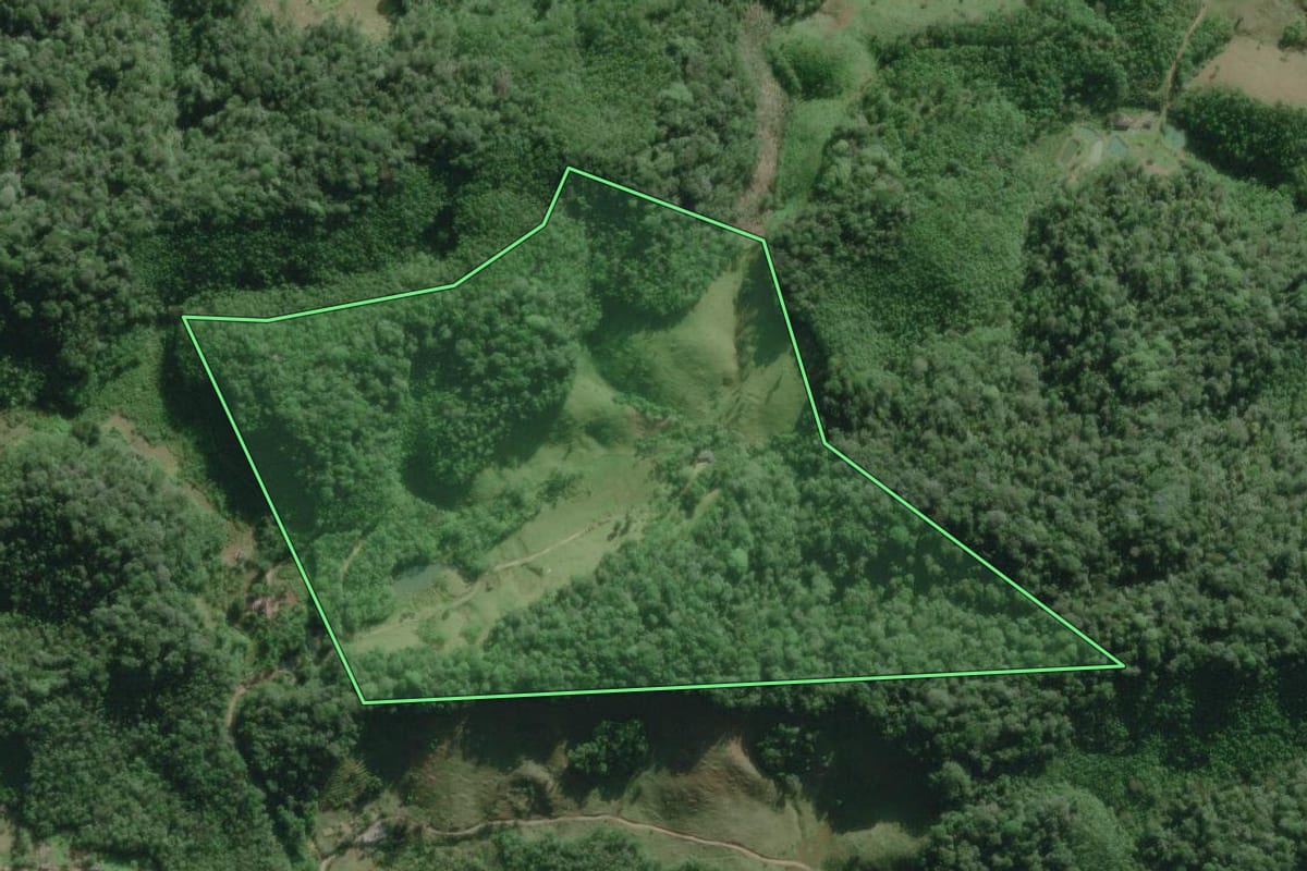 Imagem de satélite do imóvel rural em Miracatu (SP), com o contorno declarado no CAR desenhado por cima.