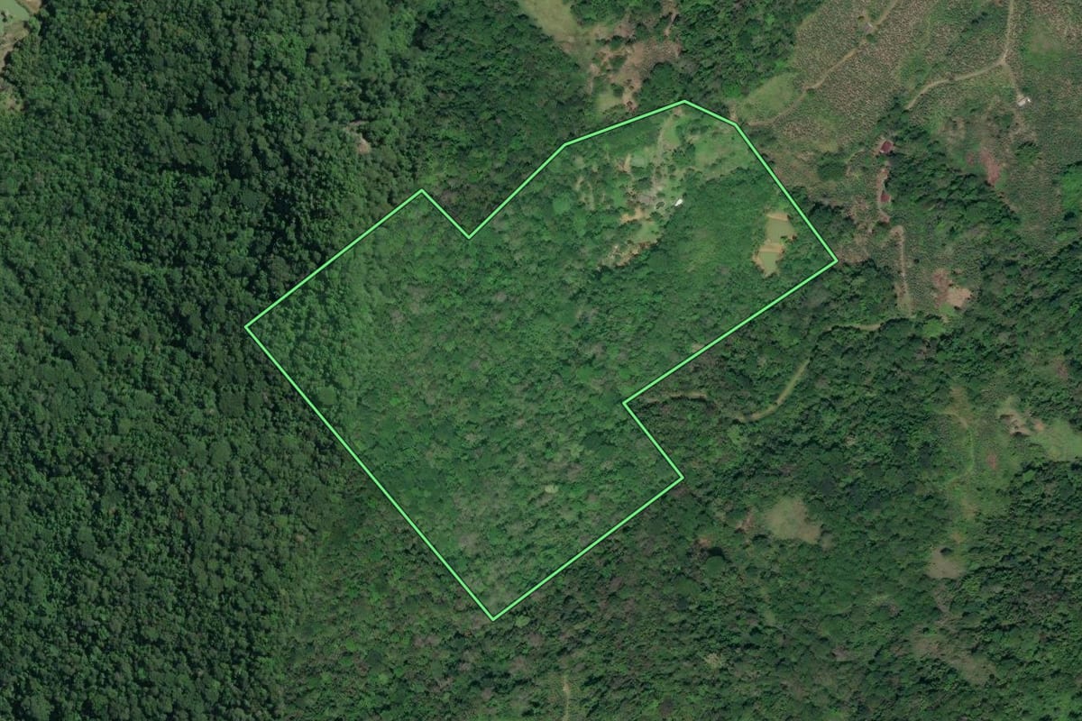Imagem de satélite do imóvel rural em Miracatu (SP), com o contorno declarado no CAR desenhado por cima.