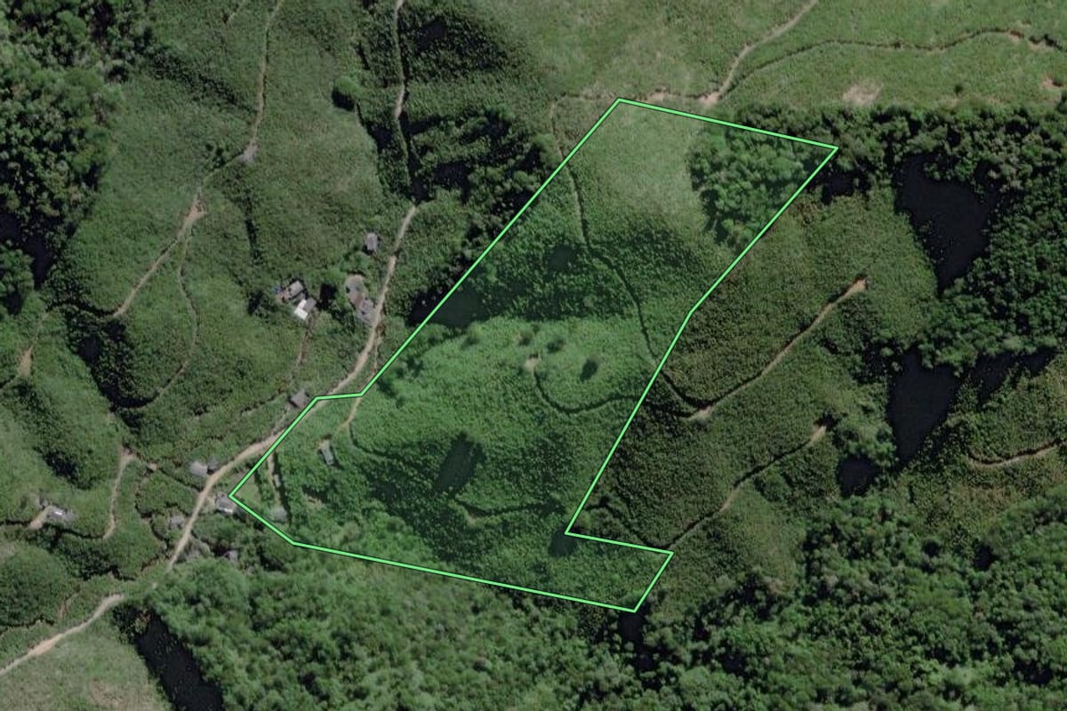 Imagem de satélite do imóvel rural em Miracatu (SP), com o contorno declarado no CAR desenhado por cima.