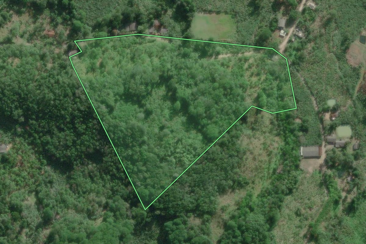 Imagem de satélite do imóvel rural em Miracatu (SP), com o contorno declarado no CAR desenhado por cima.