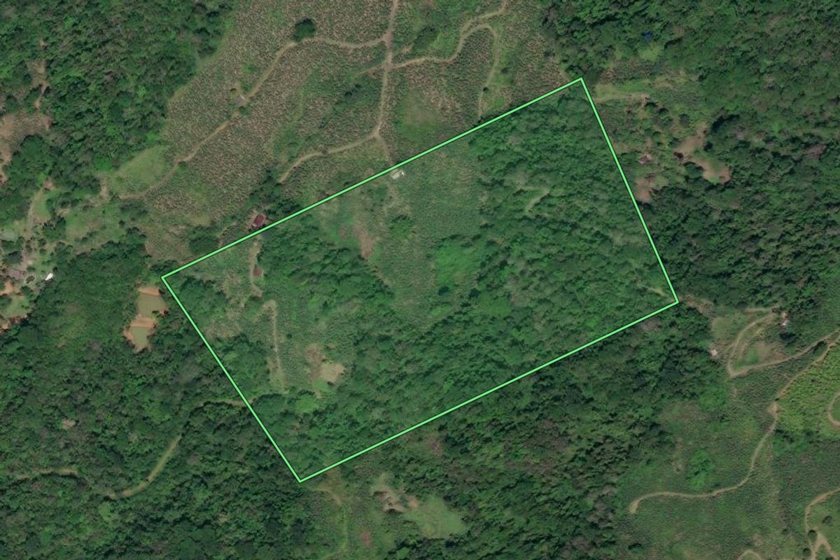 Imagem de satélite do imóvel rural em Miracatu (SP), com o contorno declarado no CAR desenhado por cima.
