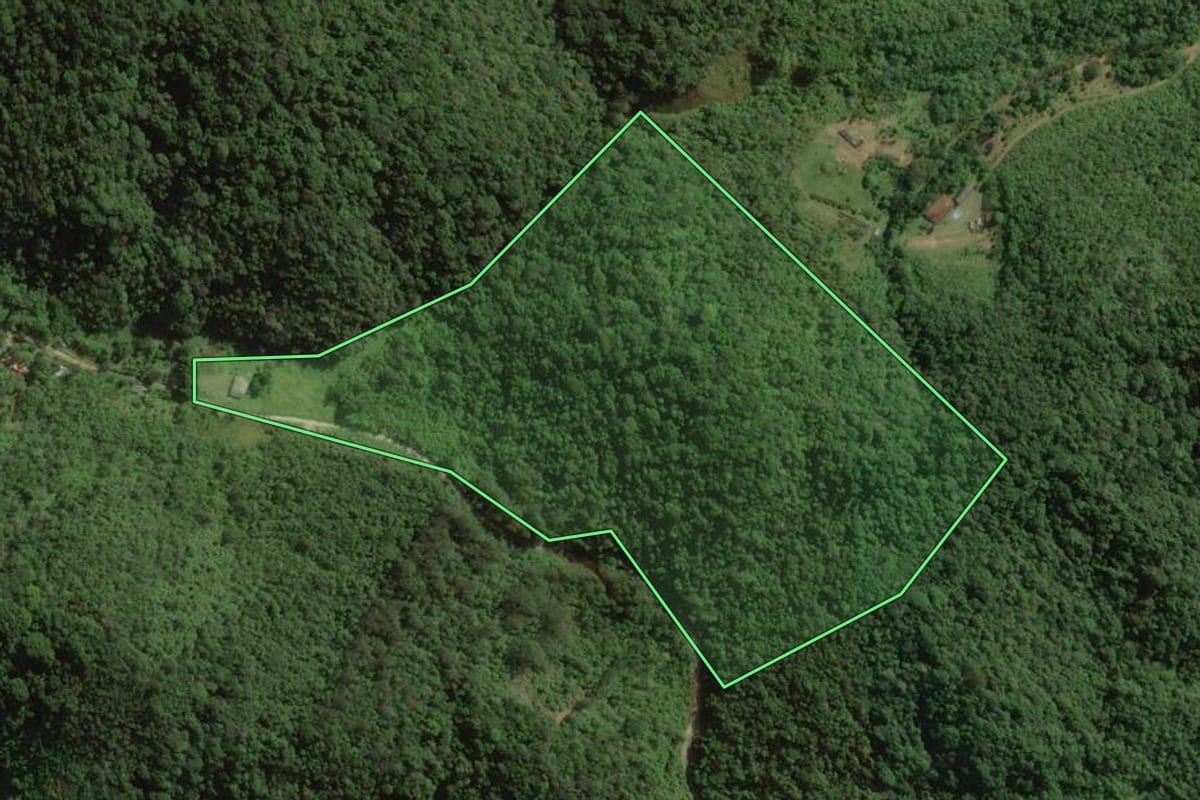 Imagem de satélite do imóvel rural em Miracatu (SP), com o contorno declarado no CAR desenhado por cima.