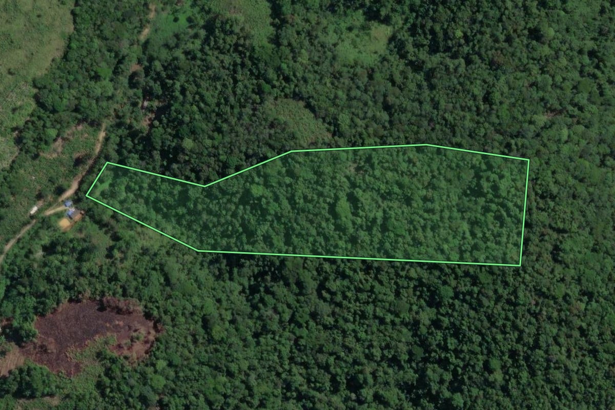 Imagem de satélite do imóvel rural em Miracatu (SP), com o contorno declarado no CAR desenhado por cima.