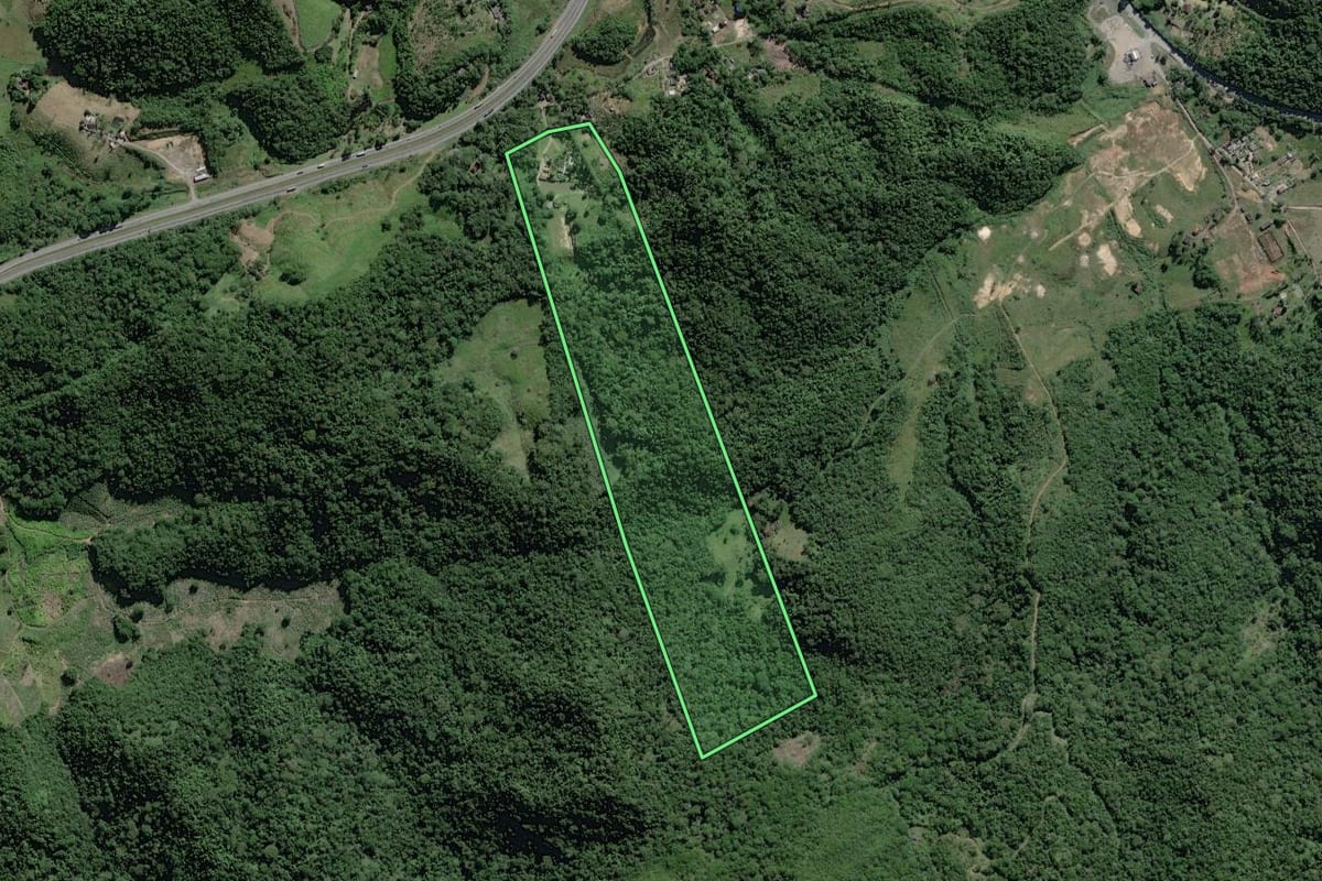 Imagem de satélite do imóvel rural em Miracatu (SP), com o contorno declarado no CAR desenhado por cima.
