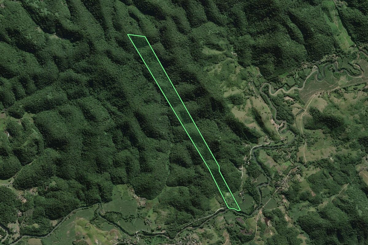 Imagem de satélite do imóvel rural em Miracatu (SP), com o contorno declarado no CAR desenhado por cima.