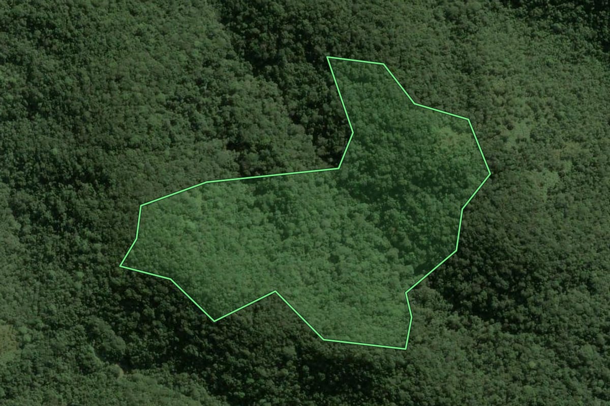 Imagem de satélite do imóvel rural em Miracatu (SP), com o contorno declarado no CAR desenhado por cima.