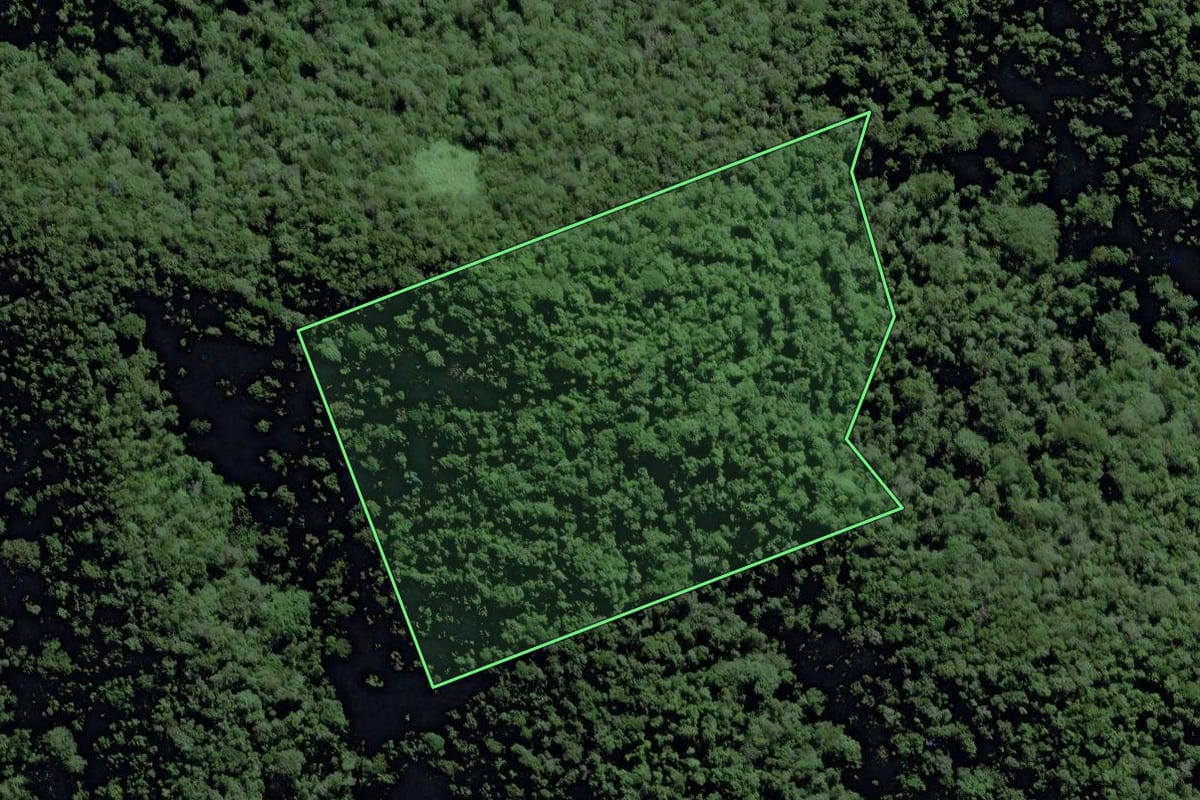Imagem de satélite do imóvel rural em Miracatu (SP), com o contorno declarado no CAR desenhado por cima.