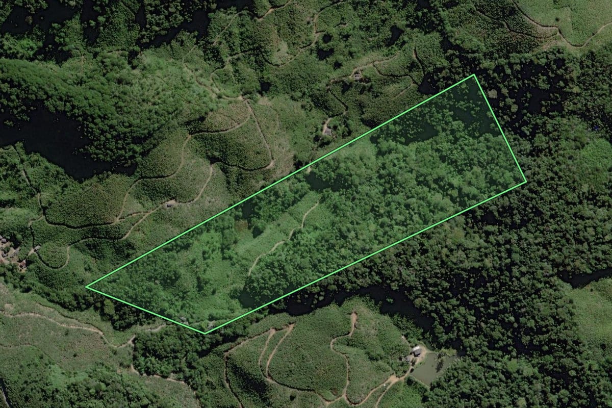 Imagem de satélite do imóvel rural em Miracatu (SP), com o contorno declarado no CAR desenhado por cima.