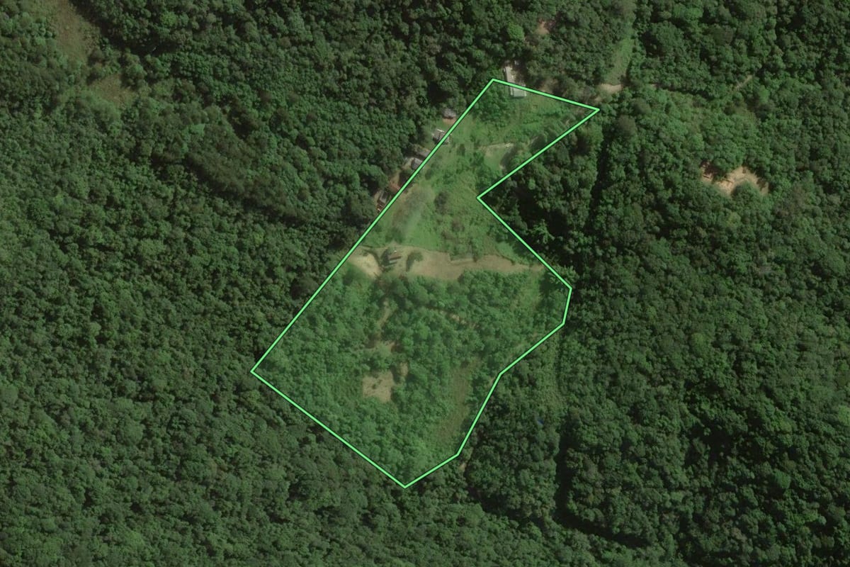 Imagem de satélite do imóvel rural em Miracatu (SP), com o contorno declarado no CAR desenhado por cima.
