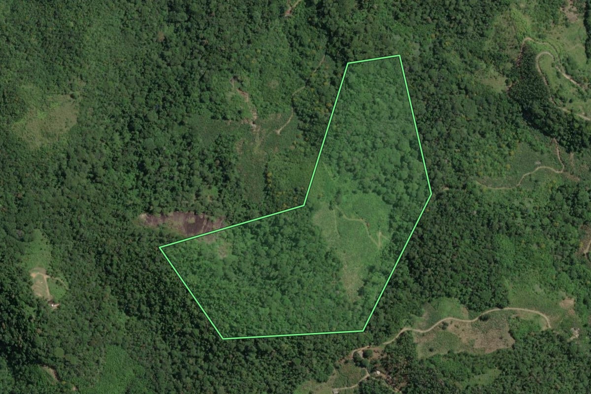 Imagem de satélite do imóvel rural em Miracatu (SP), com o contorno declarado no CAR desenhado por cima.