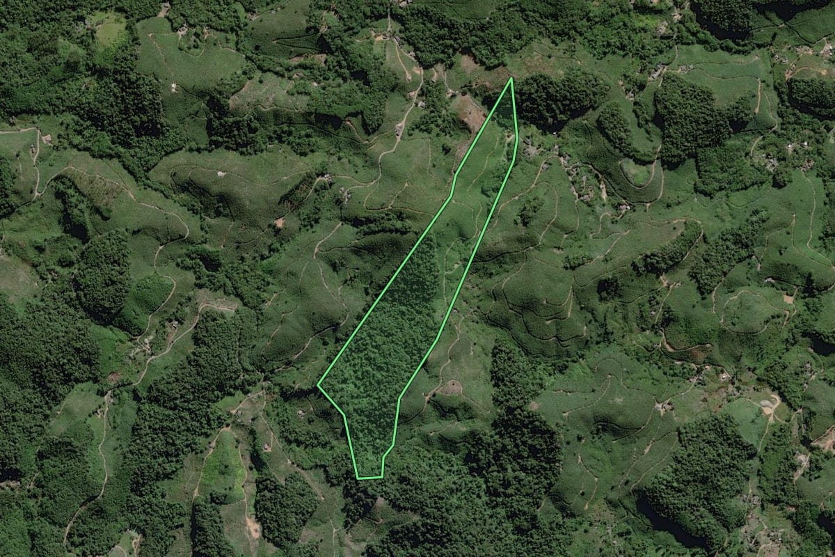 Imagem de satélite do imóvel rural em Miracatu (SP), com o contorno declarado no CAR desenhado por cima.