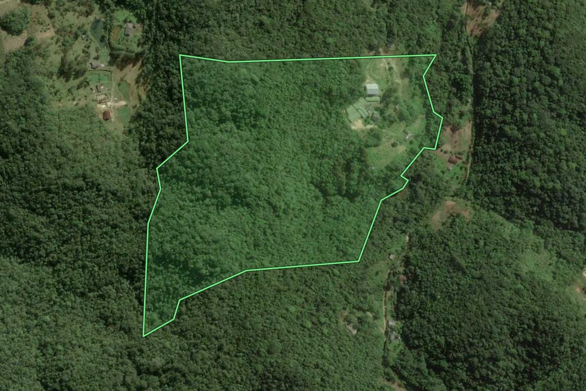 Imagem de satélite do imóvel rural em Miracatu (SP), com o contorno declarado no CAR desenhado por cima.