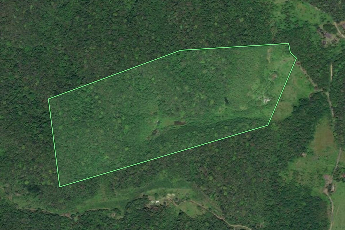 Imagem de satélite do imóvel rural em Miracatu (SP), com o contorno declarado no CAR desenhado por cima.