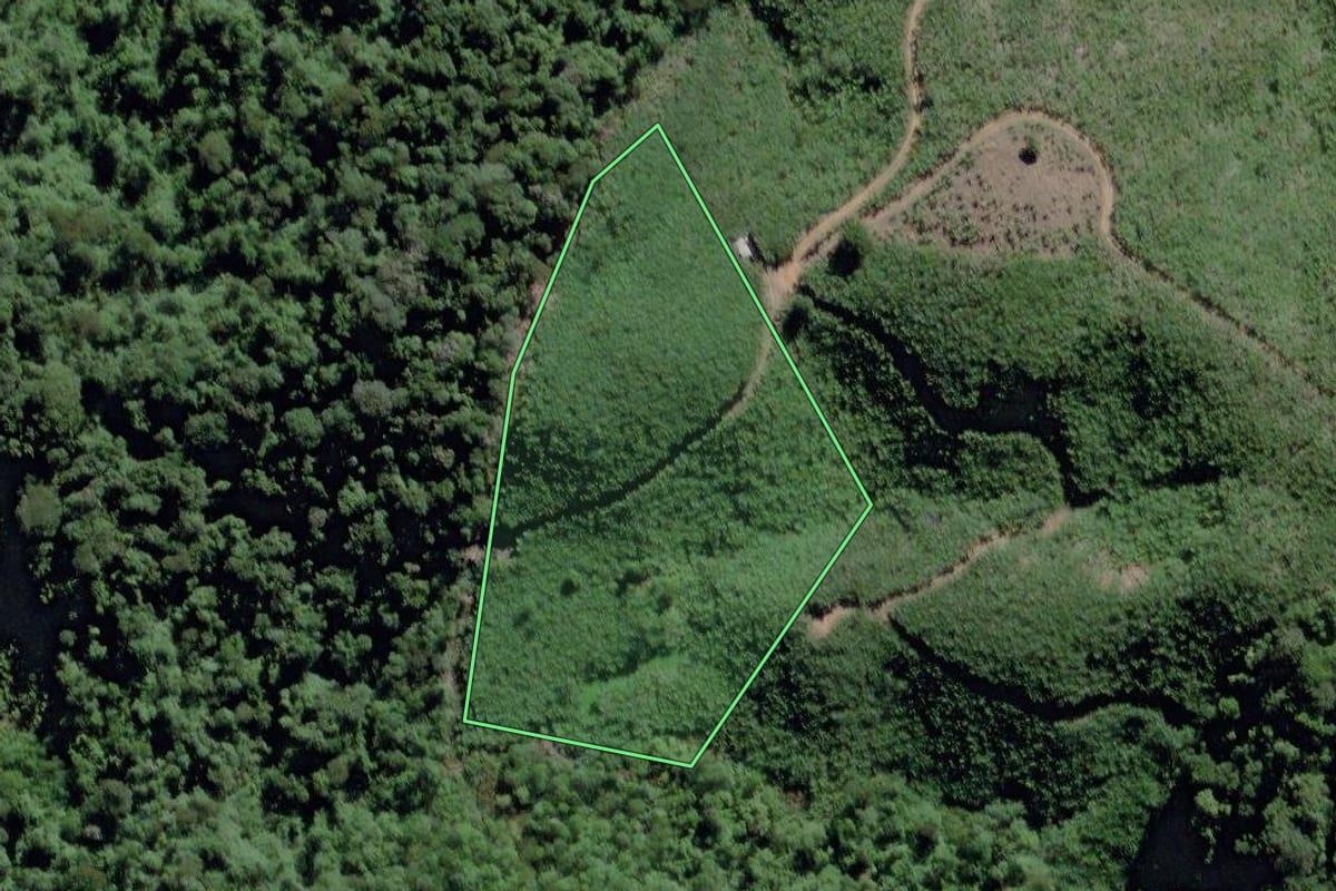 Imagem de satélite do imóvel rural em Miracatu (SP), com o contorno declarado no CAR desenhado por cima.