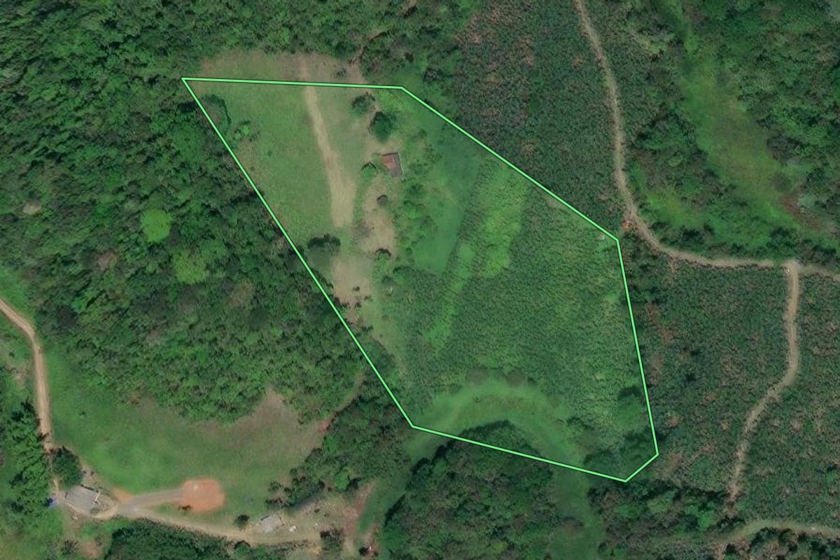 Imagem de satélite do imóvel rural em Miracatu (SP), com o contorno declarado no CAR desenhado por cima.