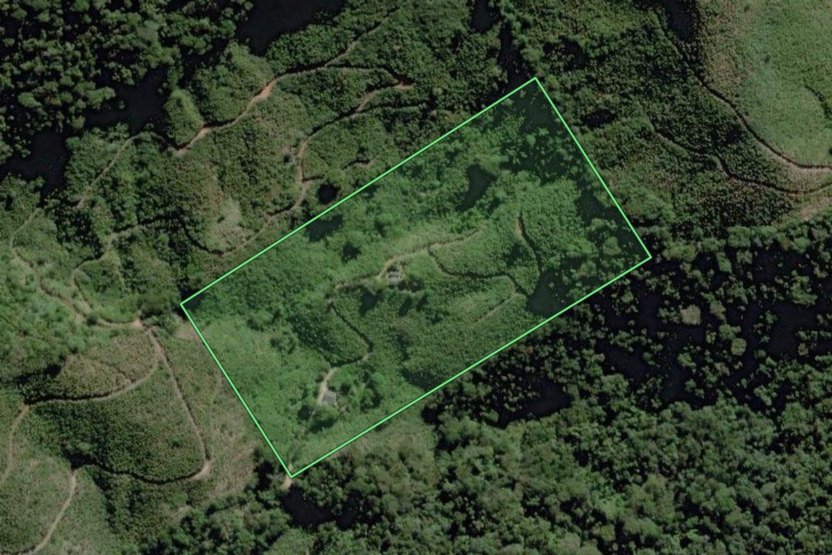 Imagem de satélite do imóvel rural em Miracatu (SP), com o contorno declarado no CAR desenhado por cima.