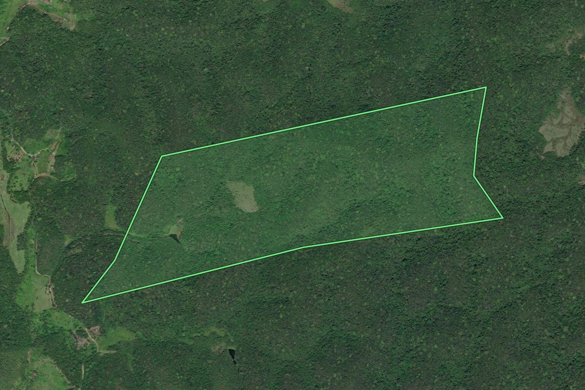 Imagem de satélite do imóvel rural em Miracatu (SP), com o contorno declarado no CAR desenhado por cima.