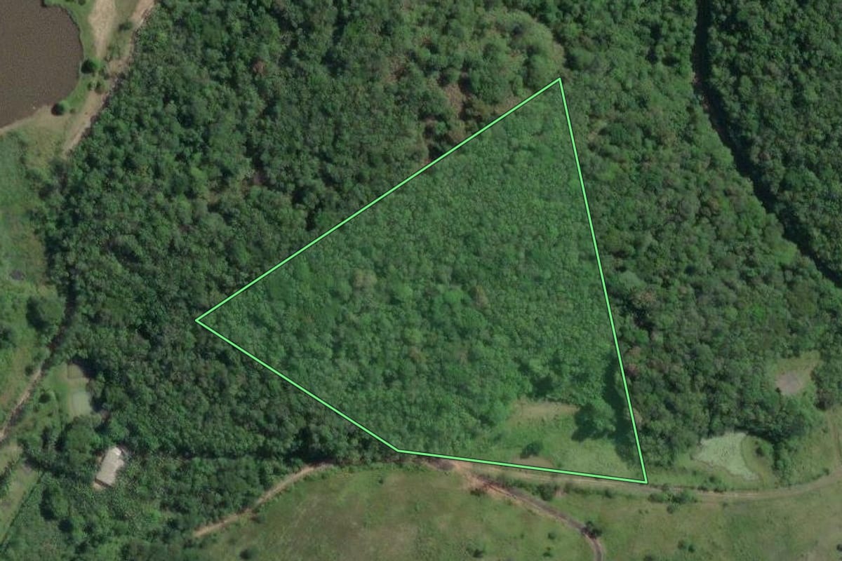 Imagem de satélite do imóvel rural em Miracatu (SP), com o contorno declarado no CAR desenhado por cima.