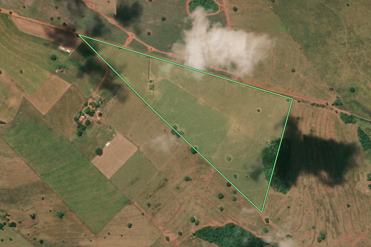 Imagem de satélite do imóvel rural em Mira Estrela (SP), com o contorno declarado no CAR desenhado por cima.