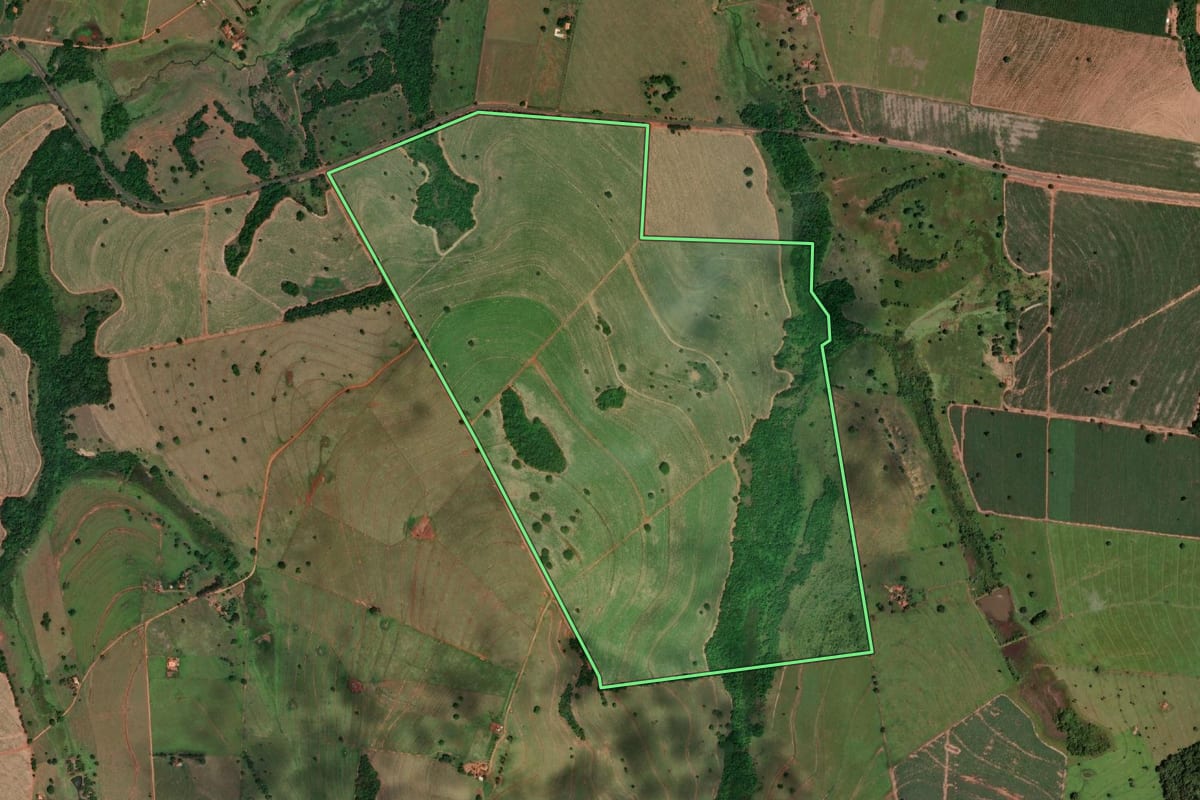 Imagem de satélite do imóvel rural em Mira Estrela (SP), com o contorno declarado no CAR desenhado por cima.
