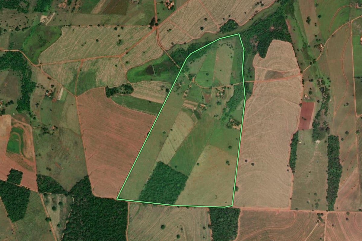 Imagem de satélite do imóvel rural em Mira Estrela (SP), com o contorno declarado no CAR desenhado por cima.