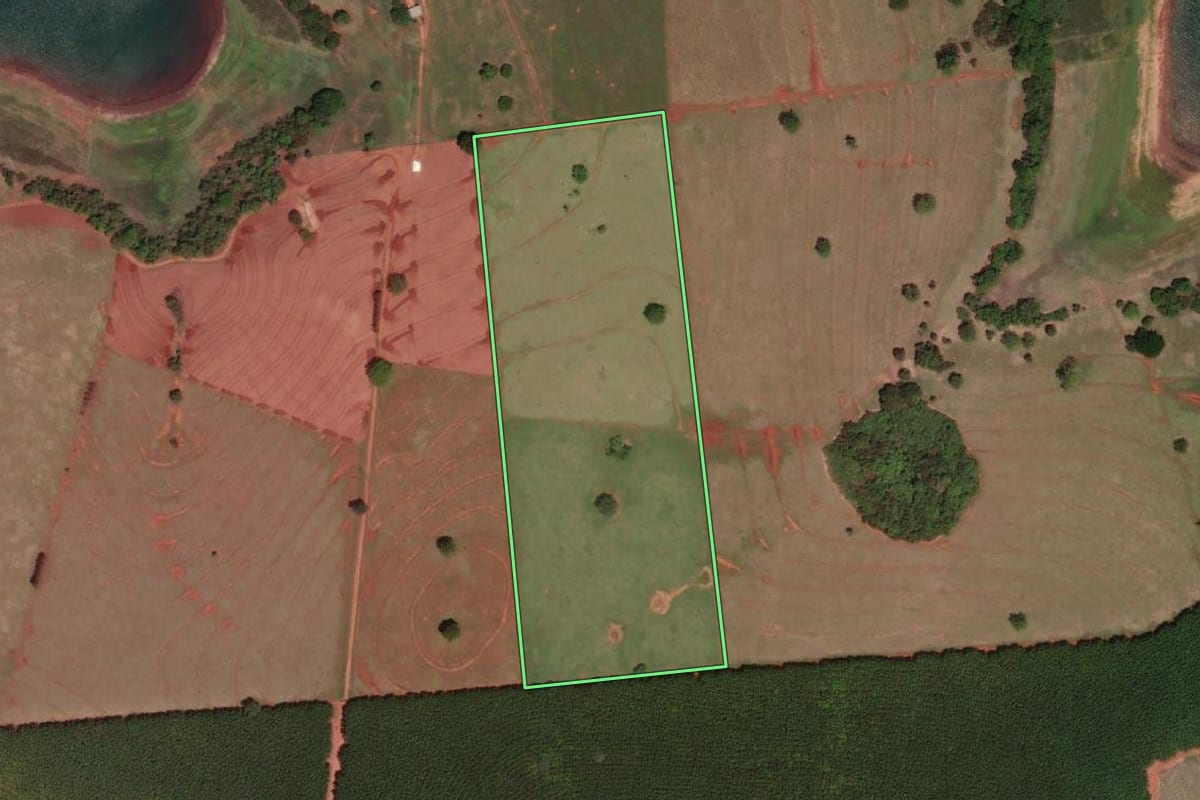 Imagem de satélite do imóvel rural em Mira Estrela (SP), com o contorno declarado no CAR desenhado por cima.