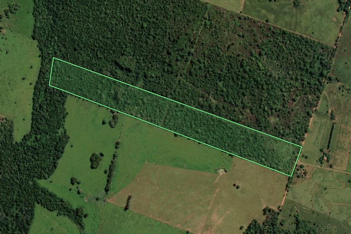 Imagem de satélite do imóvel rural em Mirandópolis (SP), com o contorno declarado no CAR desenhado por cima.