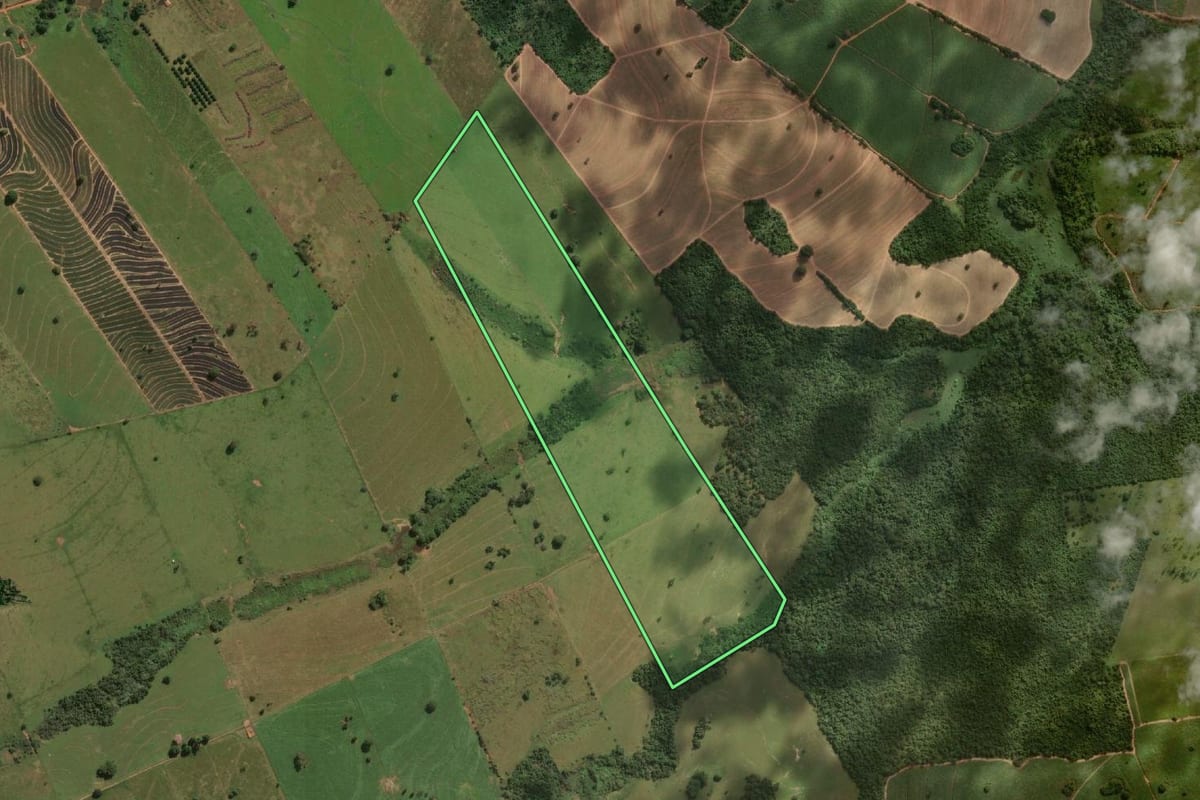 Imagem de satélite do imóvel rural em Mirandópolis (SP), com o contorno declarado no CAR desenhado por cima.