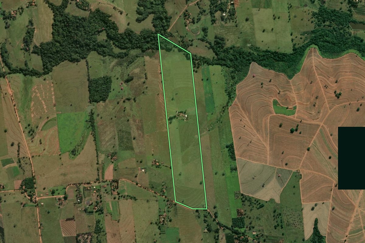 Imagem de satélite do imóvel rural em Mirandópolis (SP), com o contorno declarado no CAR desenhado por cima.