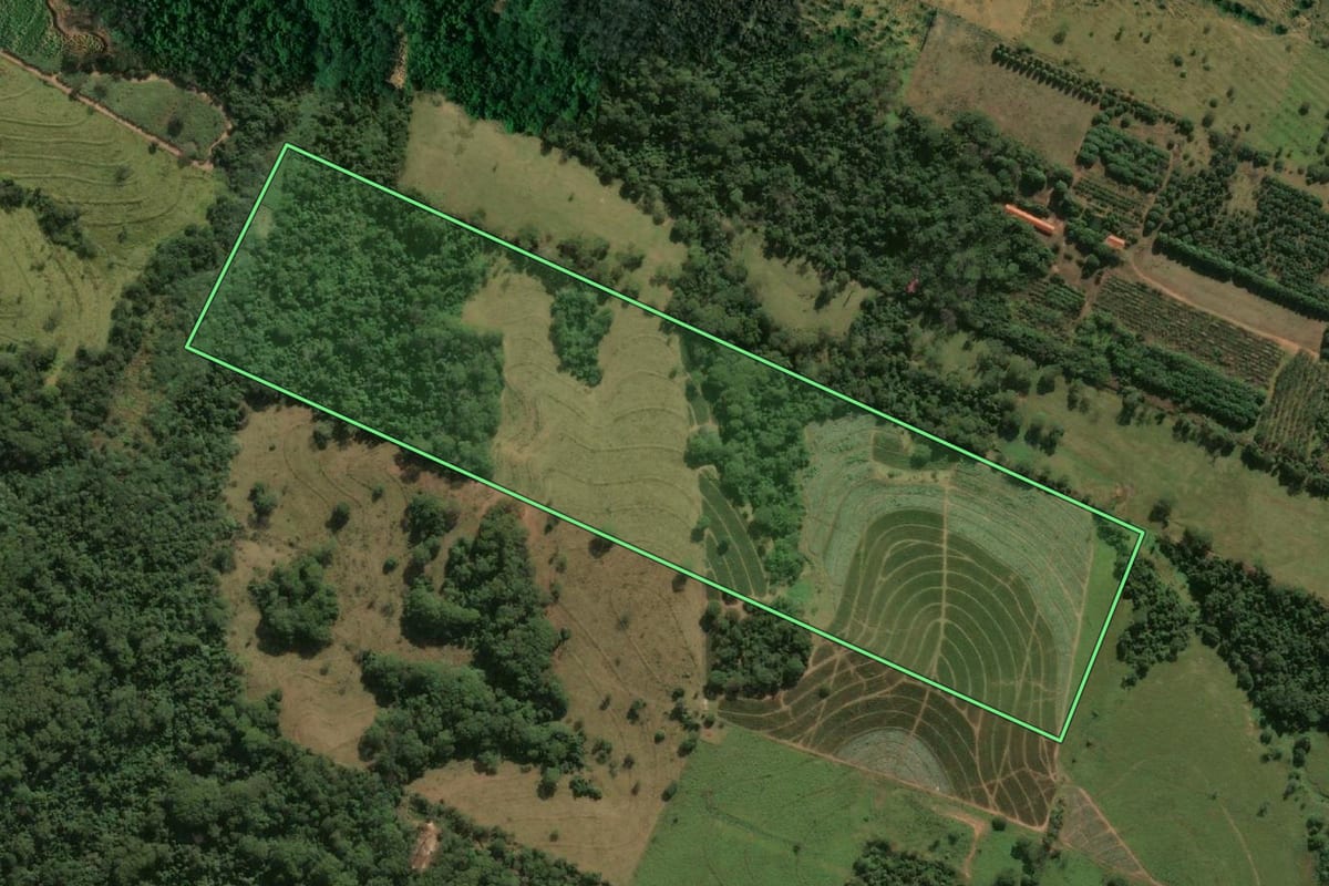 Imagem de satélite do imóvel rural em Mirandópolis (SP), com o contorno declarado no CAR desenhado por cima.