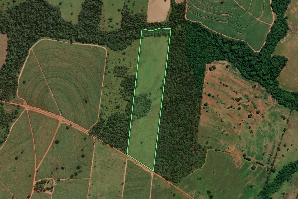 Imagem de satélite do imóvel rural em Mirandópolis (SP), com o contorno declarado no CAR desenhado por cima.