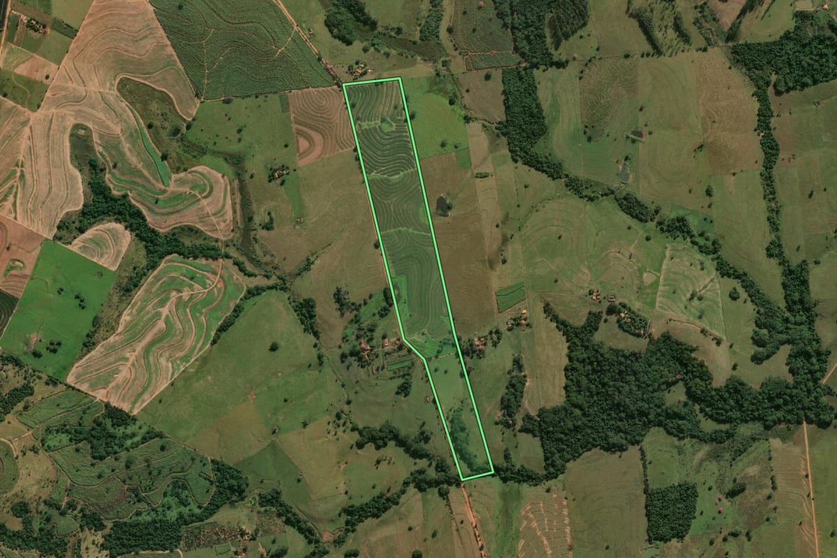 Imagem de satélite do imóvel rural em Mirandópolis (SP), com o contorno declarado no CAR desenhado por cima.