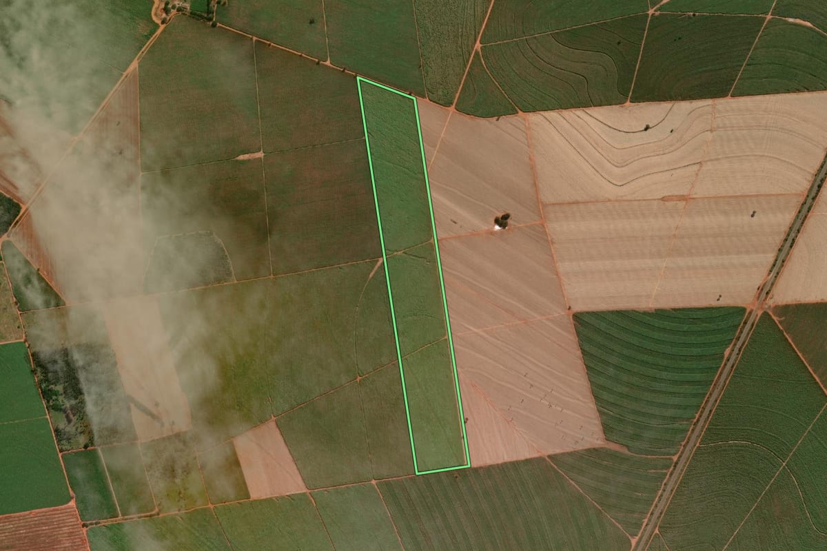 Imagem de satélite do imóvel rural em Mirante do Paranapanema (SP), com o contorno declarado no CAR desenhado por cima.