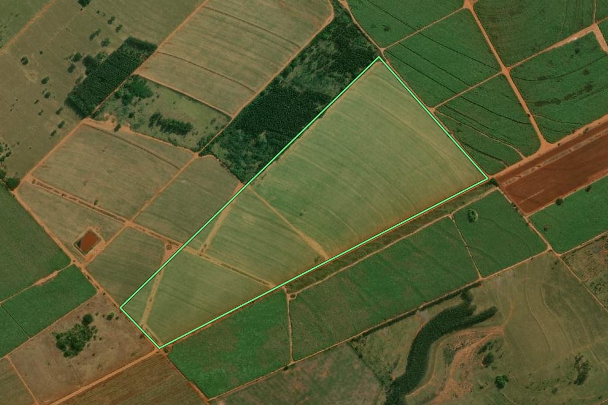 Imagem de satélite do imóvel rural em Mirante do Paranapanema (SP), com o contorno declarado no CAR desenhado por cima.
