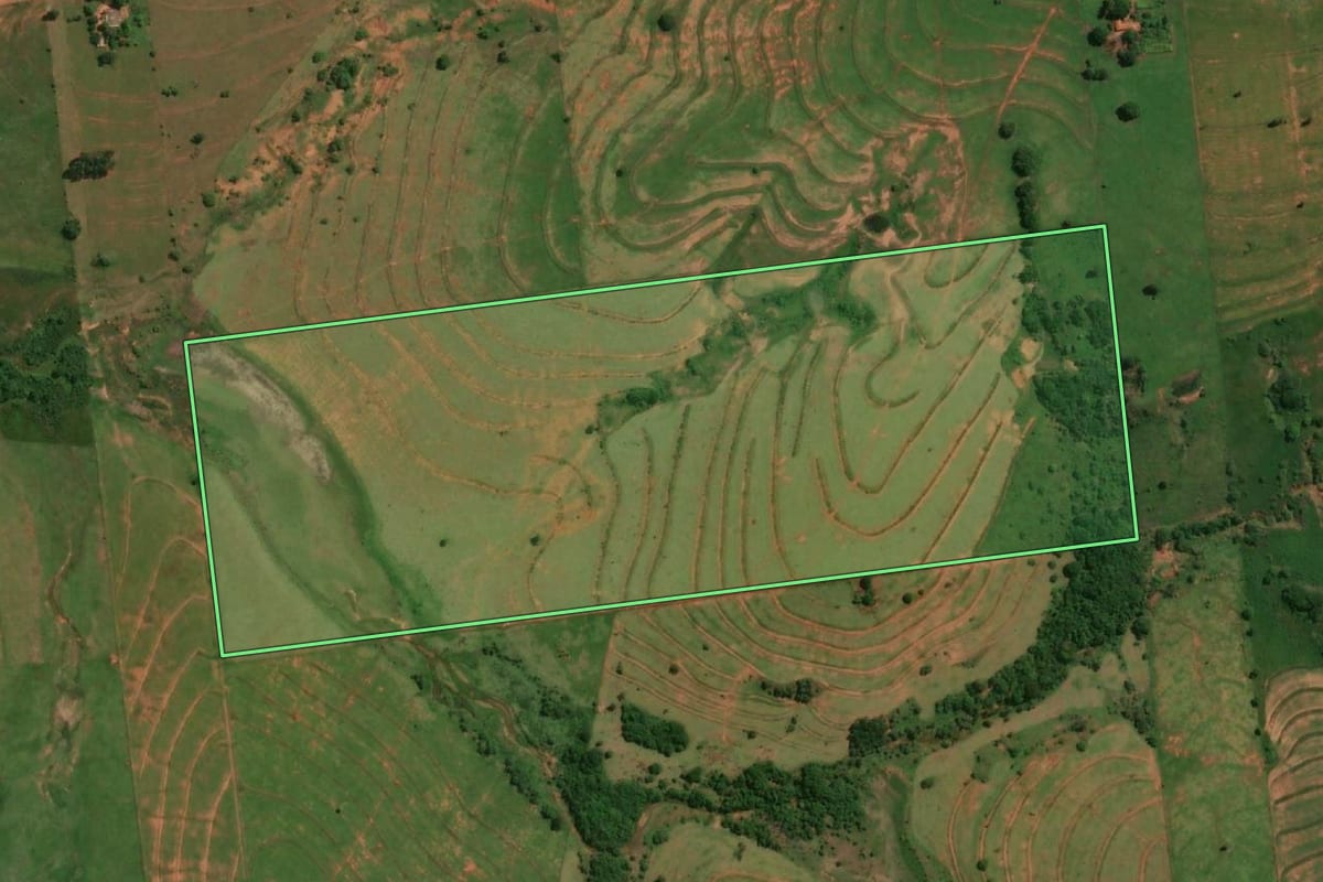 Imagem de satélite do imóvel rural em Mirante do Paranapanema (SP), com o contorno declarado no CAR desenhado por cima.