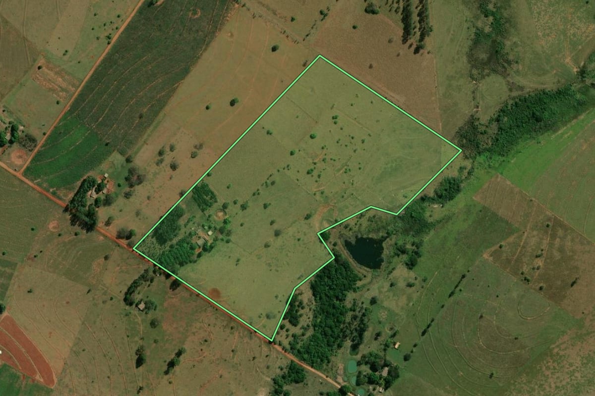 Imagem de satélite do imóvel rural em Mirante do Paranapanema (SP), com o contorno declarado no CAR desenhado por cima.