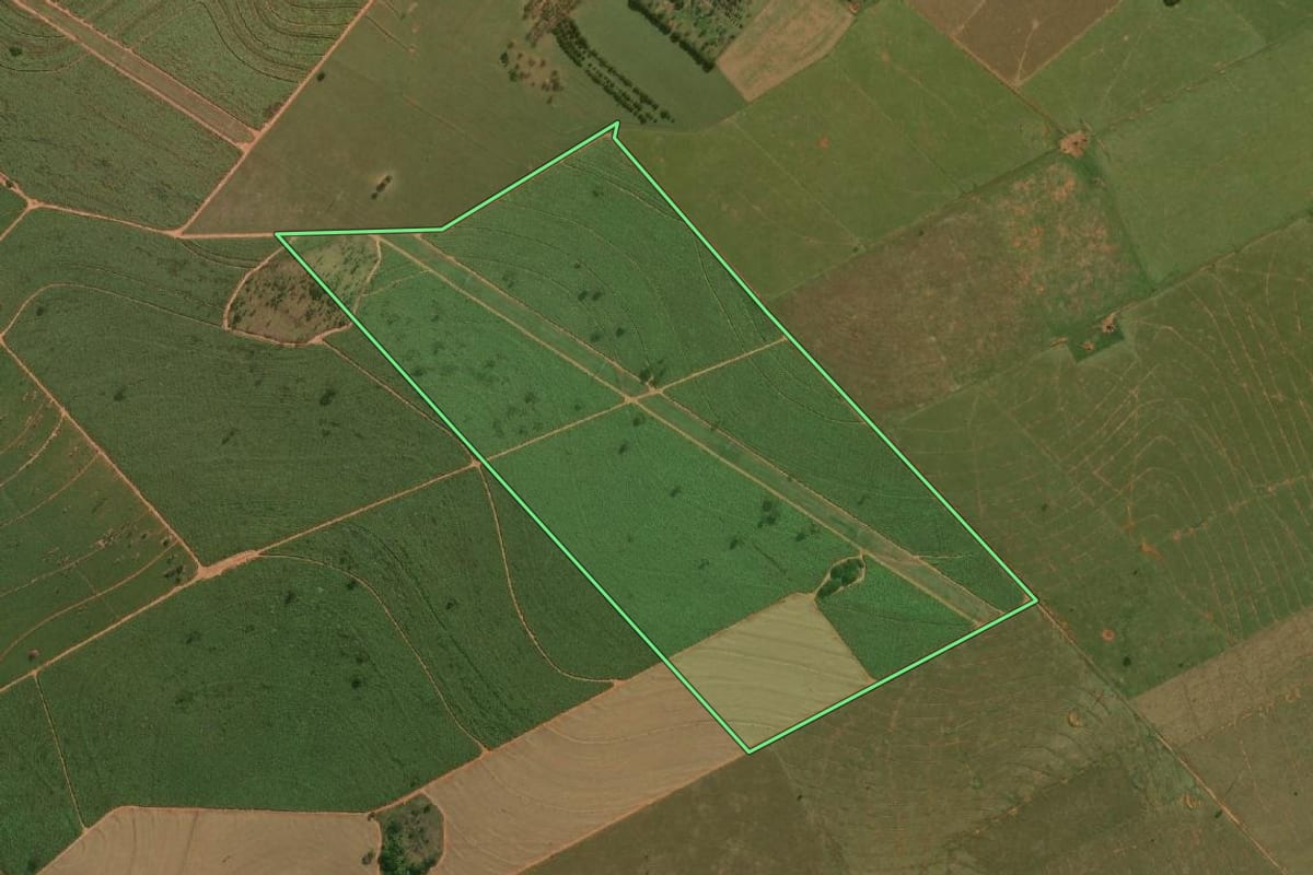 Imagem de satélite do imóvel rural em Mirante do Paranapanema (SP), com o contorno declarado no CAR desenhado por cima.