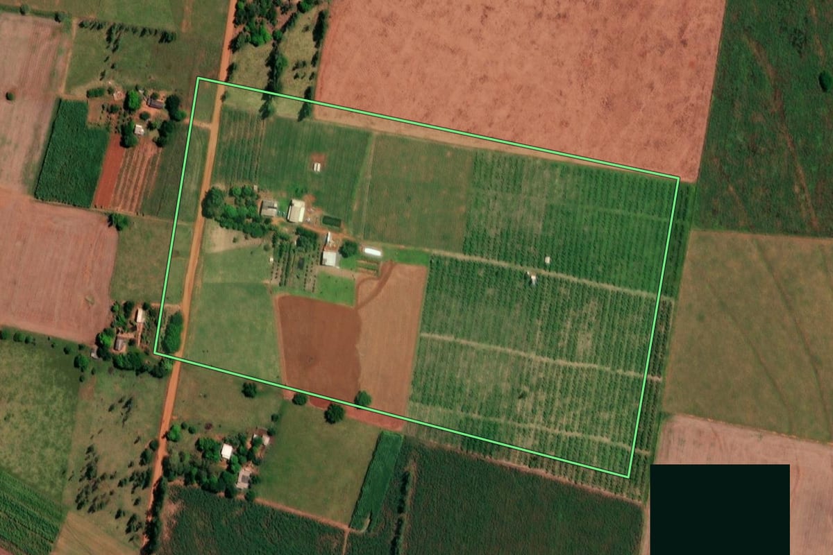 Imagem de satélite do imóvel rural em Mirante do Paranapanema (SP), com o contorno declarado no CAR desenhado por cima.