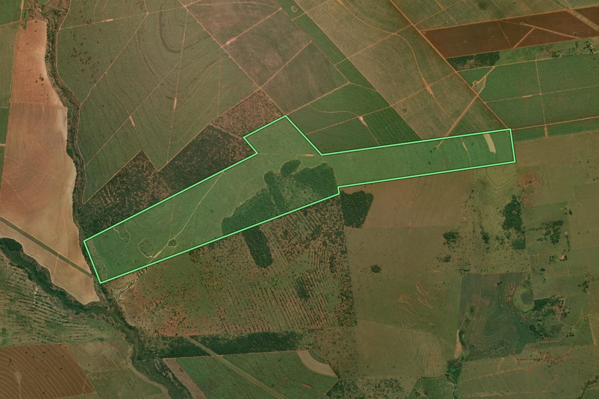 Imagem de satélite do imóvel rural em Mirante do Paranapanema (SP), com o contorno declarado no CAR desenhado por cima.