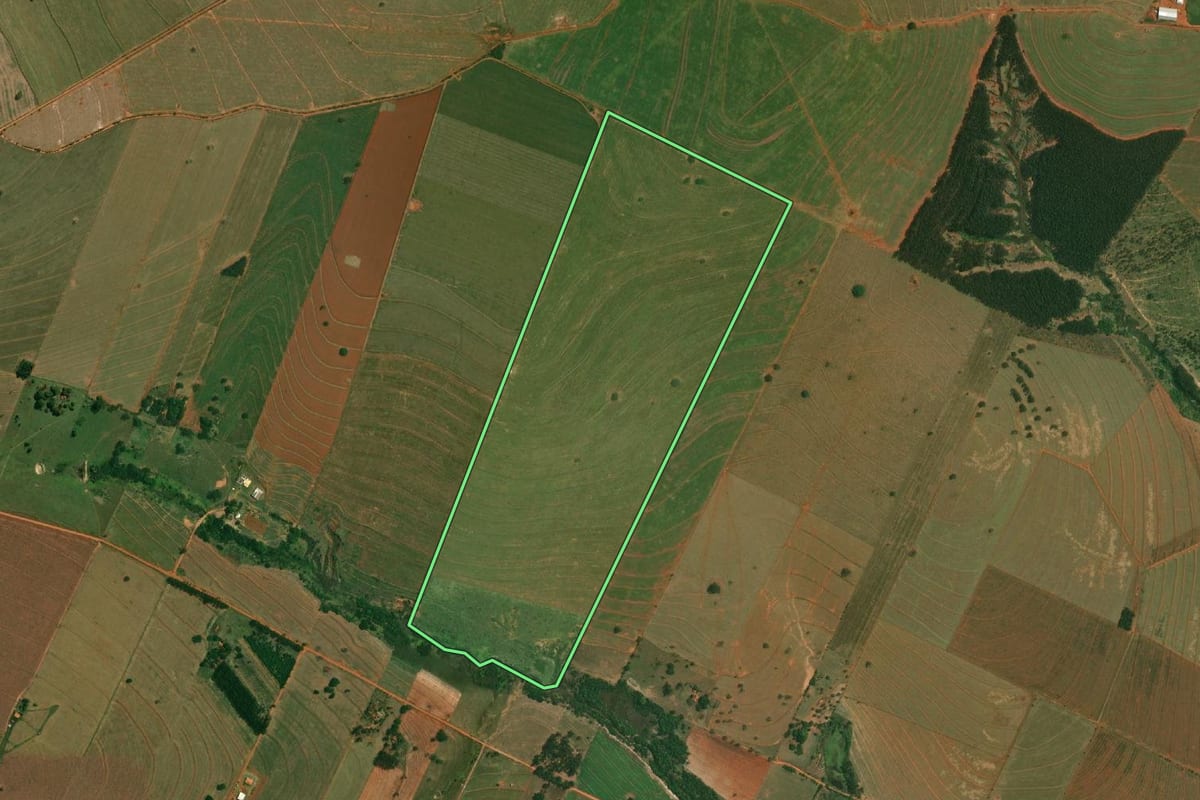 Imagem de satélite do imóvel rural em Mirante do Paranapanema (SP), com o contorno declarado no CAR desenhado por cima.