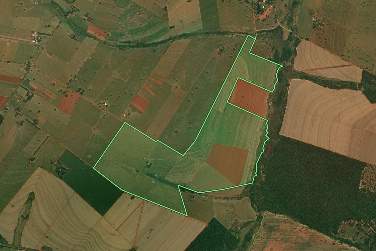 Imagem de satélite do imóvel rural em Mirante do Paranapanema (SP), com o contorno declarado no CAR desenhado por cima.