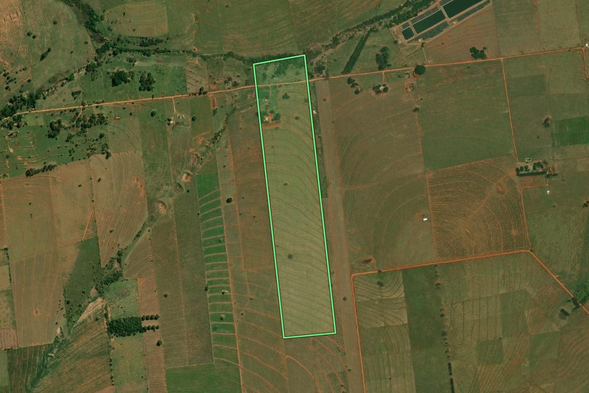 Imagem de satélite do imóvel rural em Mirante do Paranapanema (SP), com o contorno declarado no CAR desenhado por cima.