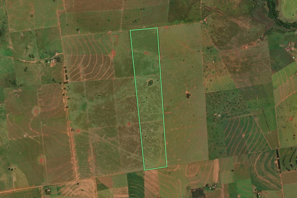 Imagem de satélite do imóvel rural em Mirante do Paranapanema (SP), com o contorno declarado no CAR desenhado por cima.