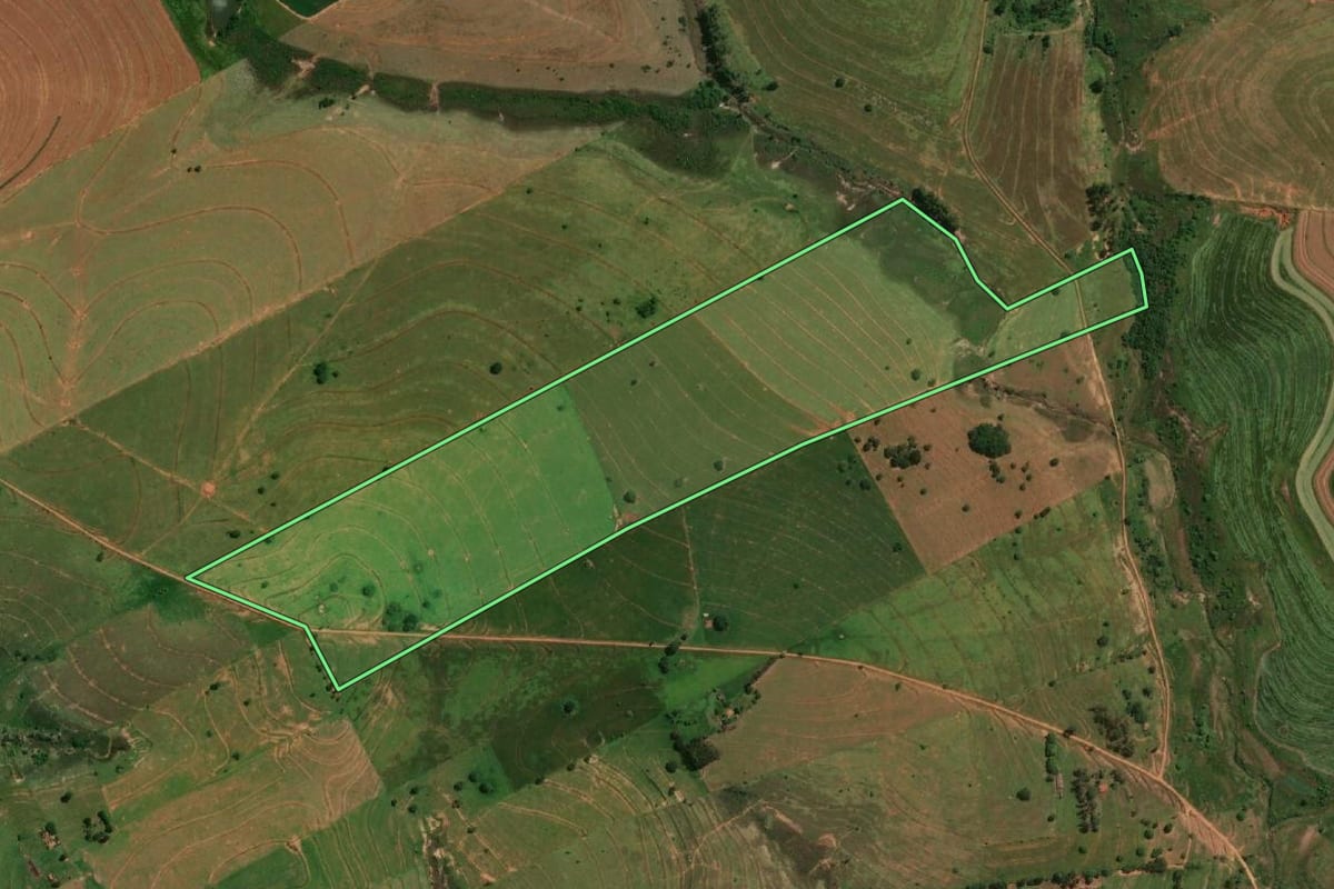 Imagem de satélite do imóvel rural em Mirante do Paranapanema (SP), com o contorno declarado no CAR desenhado por cima.