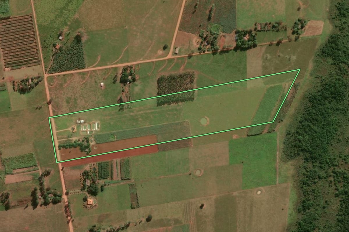 Imagem de satélite do imóvel rural em Mirante do Paranapanema (SP), com o contorno declarado no CAR desenhado por cima.