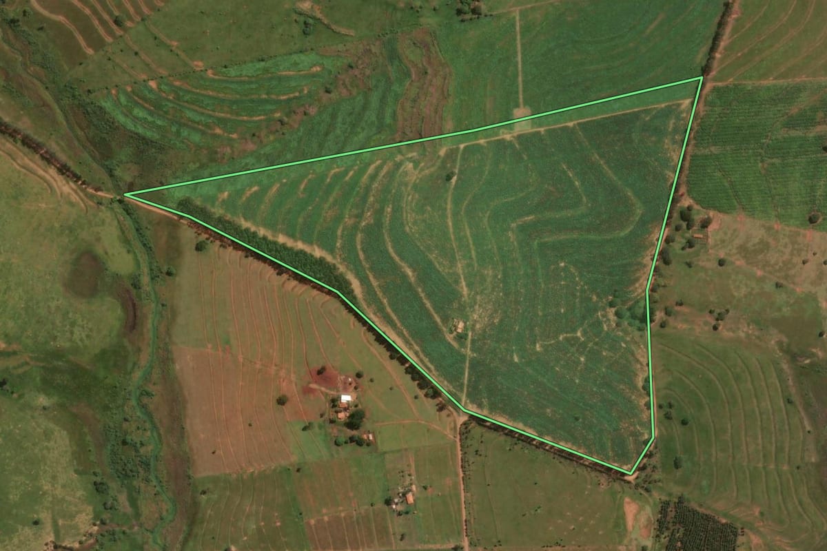 Imagem de satélite do imóvel rural em Mirante do Paranapanema (SP), com o contorno declarado no CAR desenhado por cima.