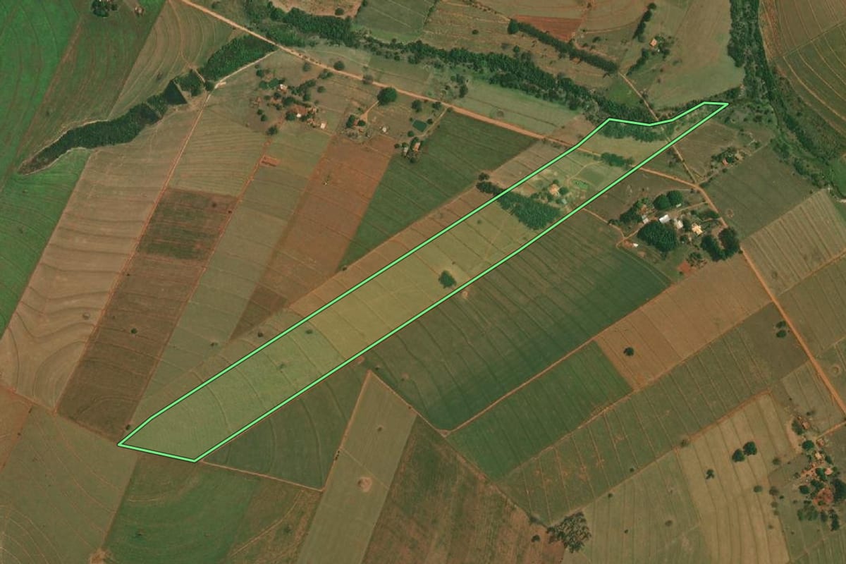 Imagem de satélite do imóvel rural em Mirante do Paranapanema (SP), com o contorno declarado no CAR desenhado por cima.