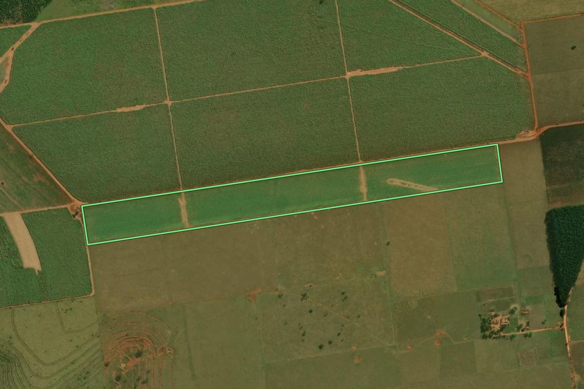 Imagem de satélite do imóvel rural em Mirante do Paranapanema (SP), com o contorno declarado no CAR desenhado por cima.
