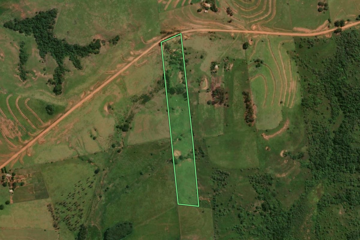 Imagem de satélite do imóvel rural em Mirante do Paranapanema (SP), com o contorno declarado no CAR desenhado por cima.